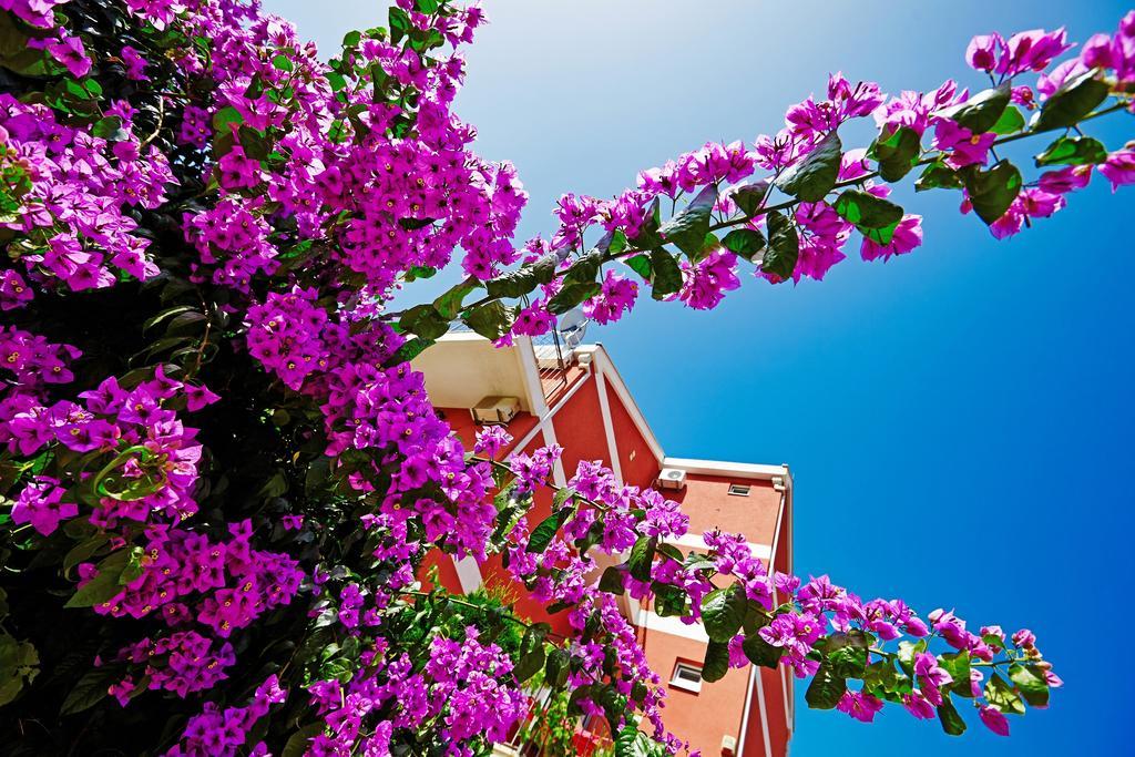 Villa Bojana บุดวา ภายนอก รูปภาพ